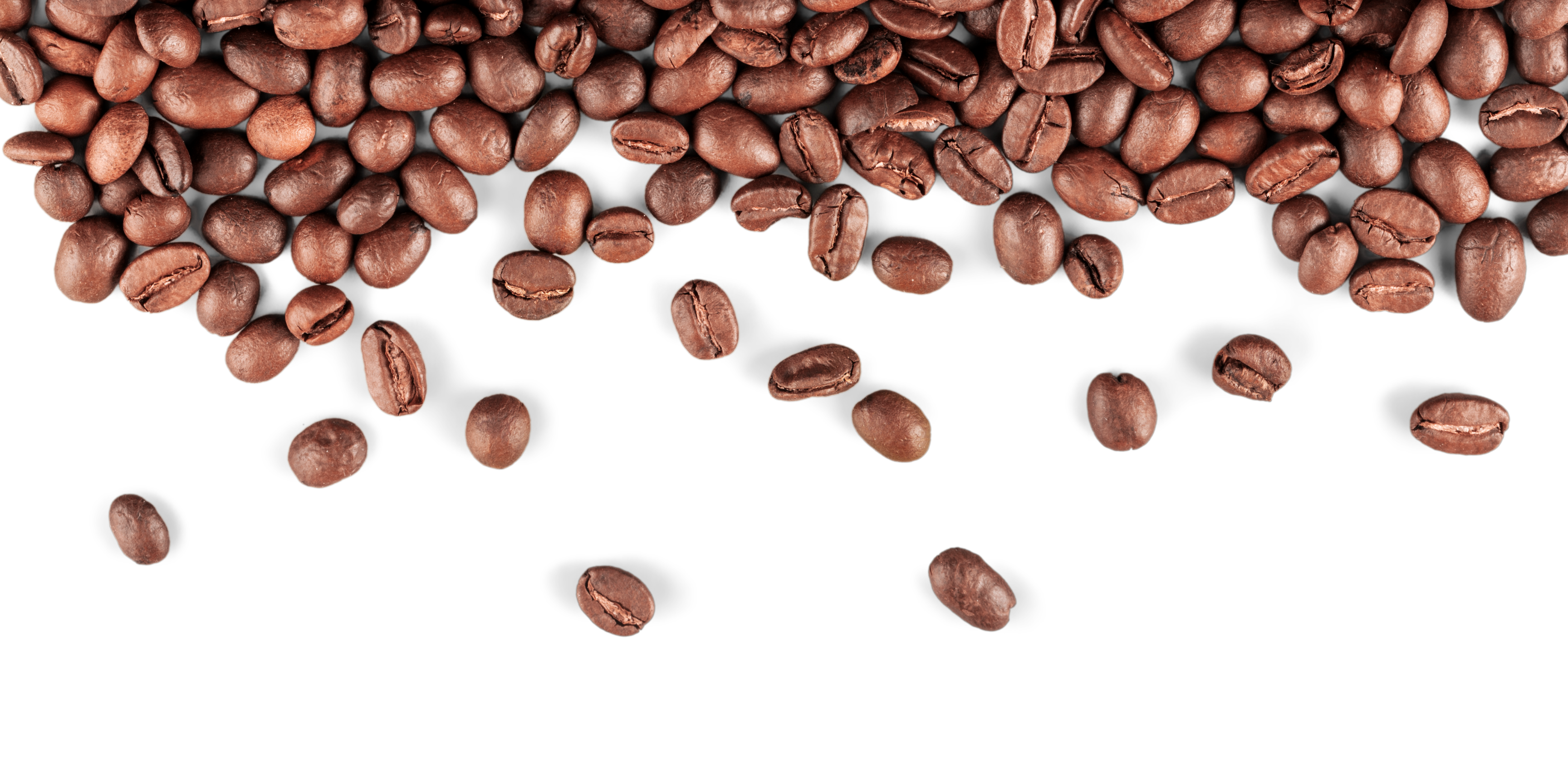 Brazilian Coffee Beans